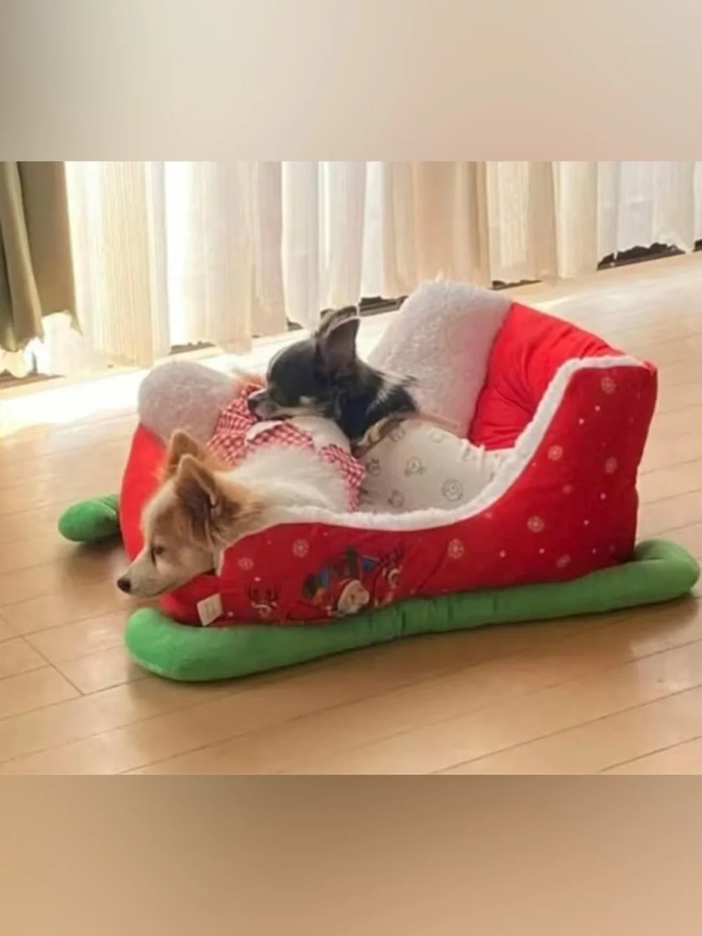Red Holiday Sleigh Pet Bed with Plush White Lining